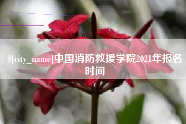 成都中国消防救援学院2021年报名时间