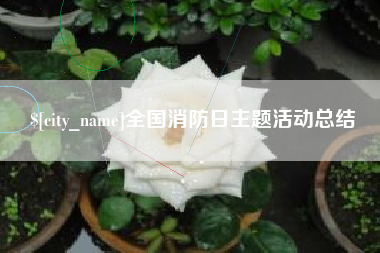 成都全国消防日主题活动总结