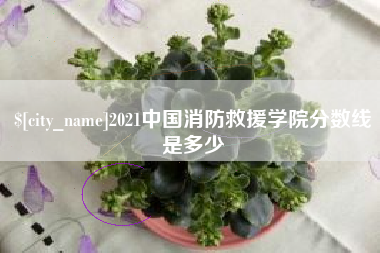 成都2021中国消防救援学院分数线是多少