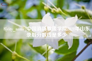 成都中国消防救援学院2021年山东录取分数线是多少