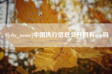 成都中国执行信息公开网有app吗