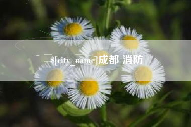 成都成都 消防