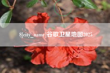 成都谷歌卫星地图2025