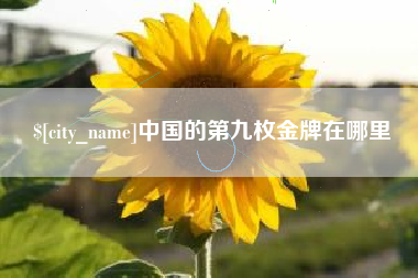 成都中国的第九枚金牌在哪里