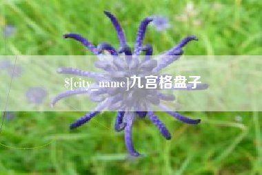 成都九宫格盘子