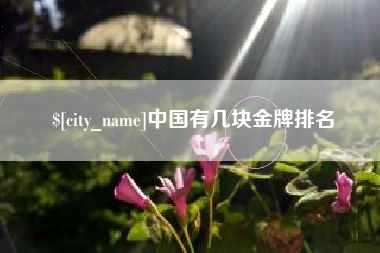 成都中国有几块金牌排名