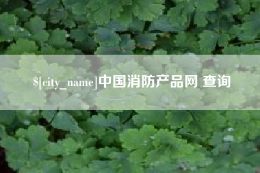 成都中国消防产品网 查询