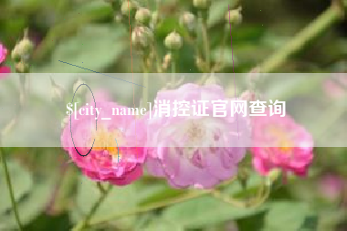 成都消控证官网查询