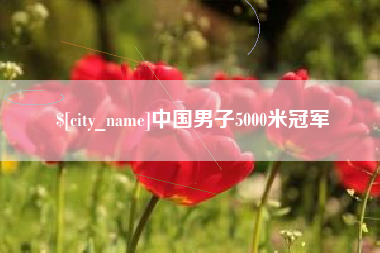 成都中国男子5000米冠军