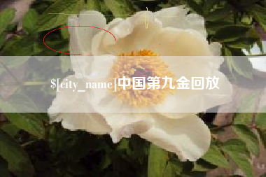 成都中国第九金回放