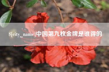 成都中国第九枚金牌是谁得的