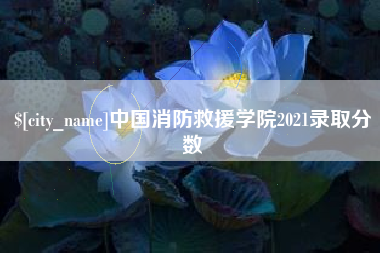 成都中国消防救援学院2021录取分数