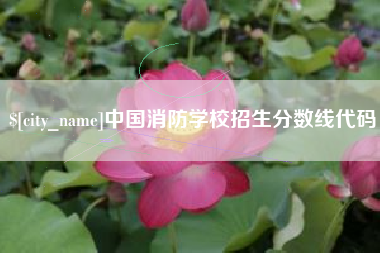 成都中国消防学校招生分数线代码