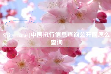 成都中国执行信息查询公开网怎么查询