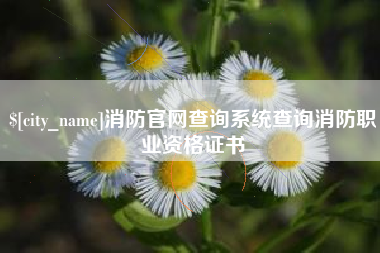 成都消防官网查询系统查询消防职业资格证书