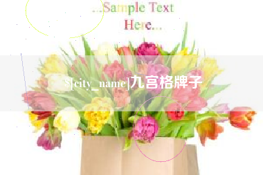 成都九宫格牌子