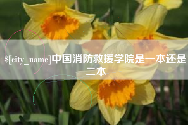 成都中国消防救援学院是一本还是二本