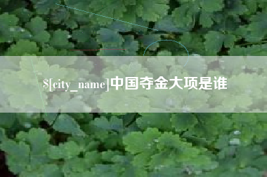成都中国夺金大项是谁