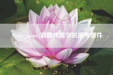 成都消防救援学院报考条件