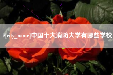 成都中国十大消防大学有哪些学校