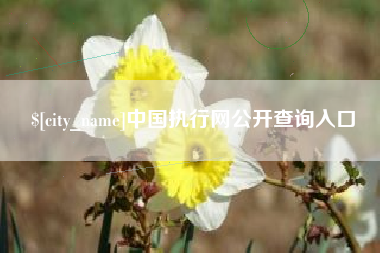 成都中国执行网公开查询入口