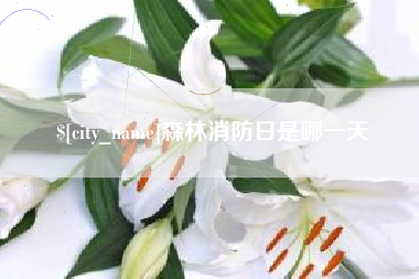 成都森林消防日是哪一天