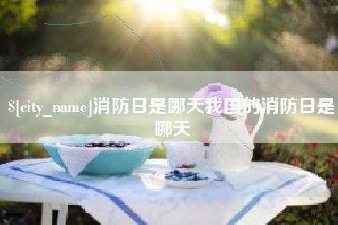 成都消防日是哪天我国的消防日是哪天