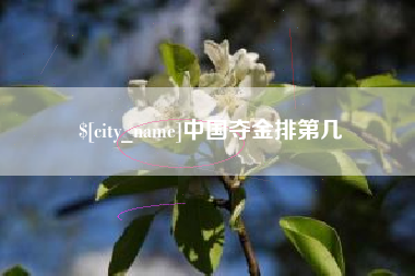 成都中国夺金排第几