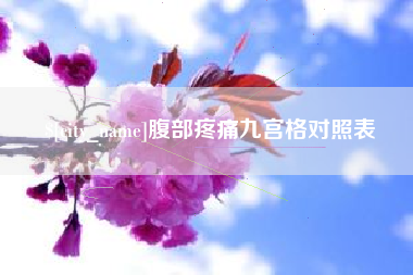 成都腹部疼痛九宫格对照表