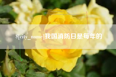 成都我国消防日是每年的