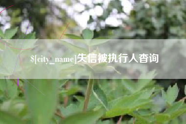 成都失信被执行人杳询