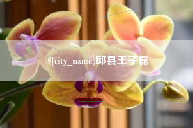 成都邱县王子磊