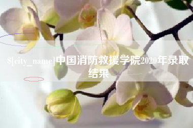 成都中国消防救援学院2020年录取结果