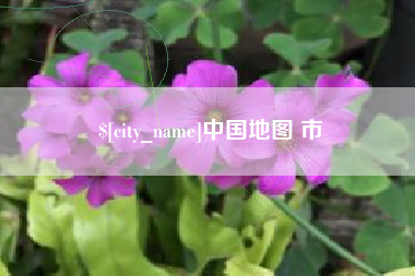 成都中国地图 市