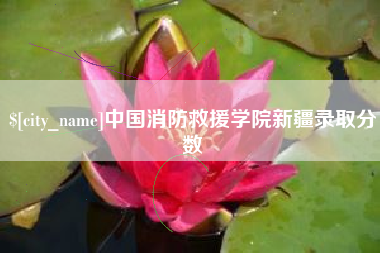 成都中国消防救援学院新疆录取分数
