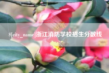 成都浙江消防学校招生分数线