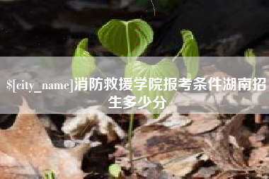 成都消防救援学院报考条件湖南招生多少分