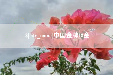 成都中国金牌18金