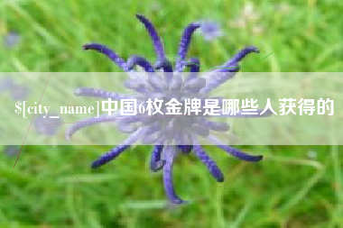 成都中国6枚金牌是哪些人获得的