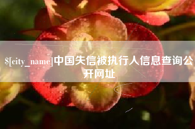 成都中国失信被执行人信息查询公开网址