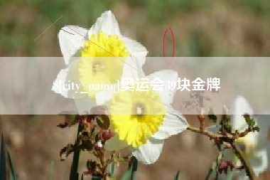 成都奥运会39块金牌
