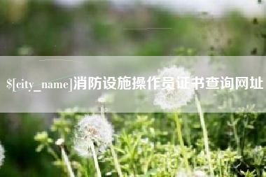 成都消防设施操作员证书查询网址