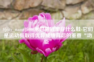 成都5000米世界冠军穿什么鞋-它们是运动员取得优异成绩背后的重要“功臣”