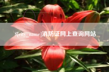成都消防证网上查询网站