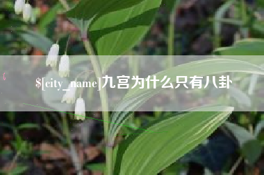成都九宫为什么只有八卦