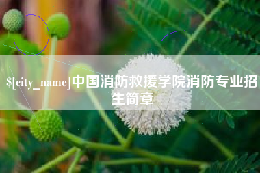 成都中国消防救援学院消防专业招生简章