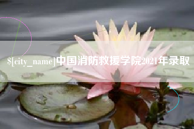 成都中国消防救援学院2021年录取