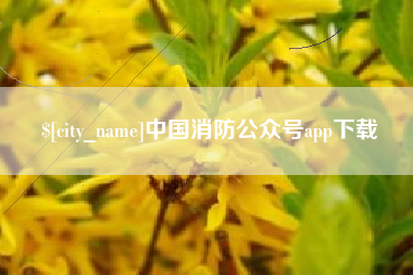 成都中国消防公众号app下载