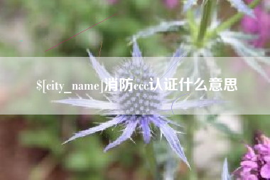 成都消防ccc认证什么意思