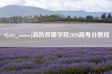 成都消防救援学院2020高考分数线